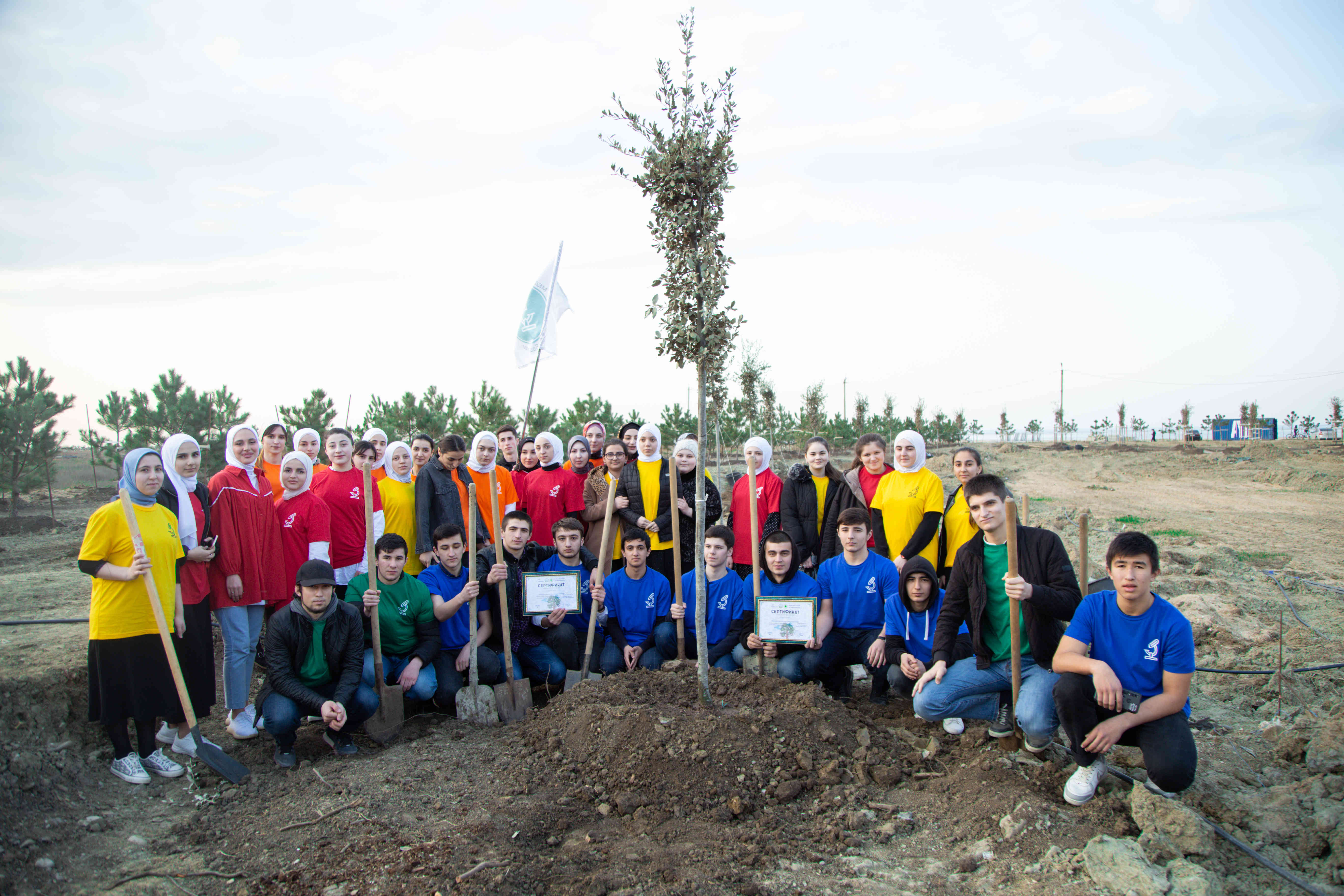 Аллея героев-медиков