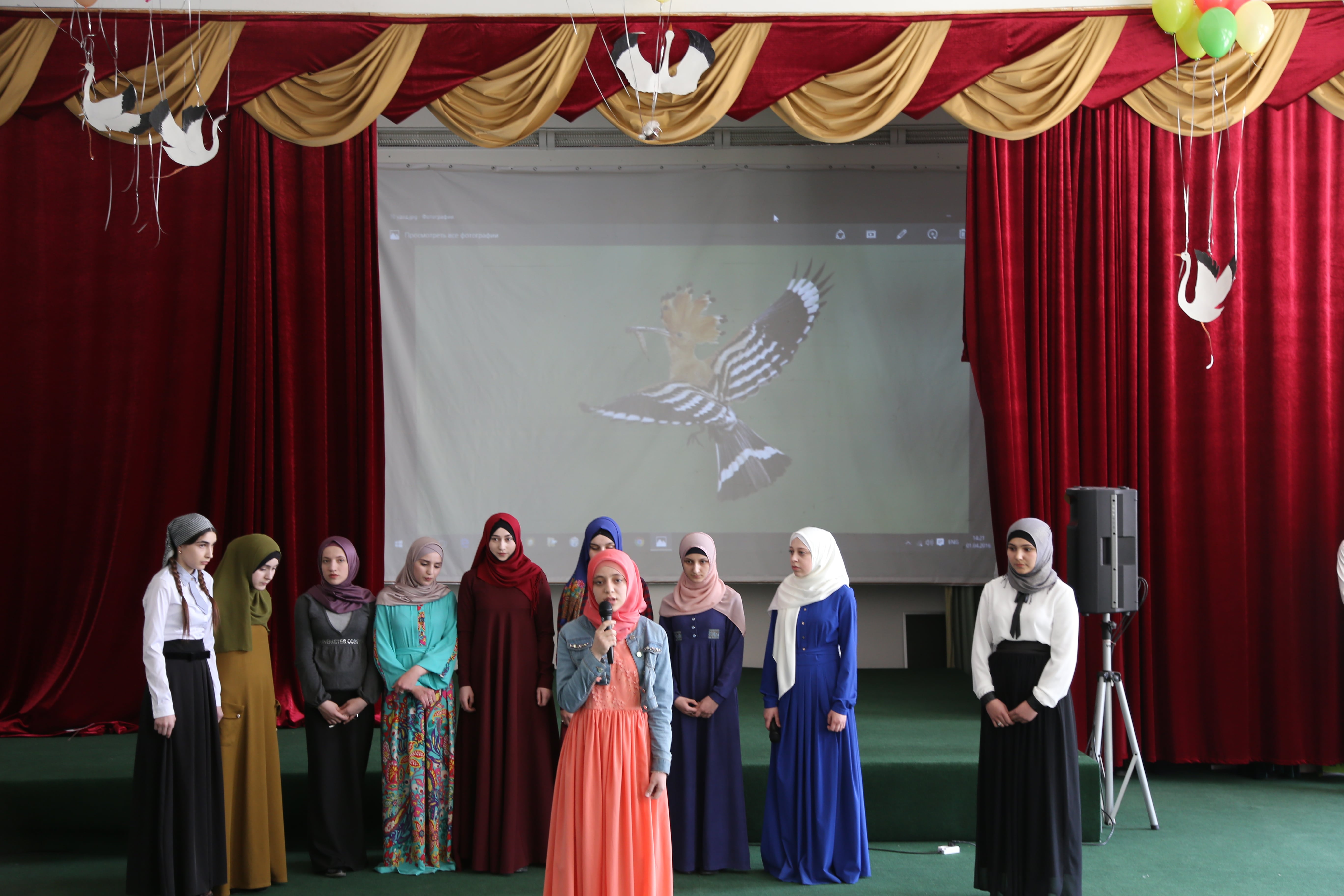 Весна пришла - запели птицы!!!