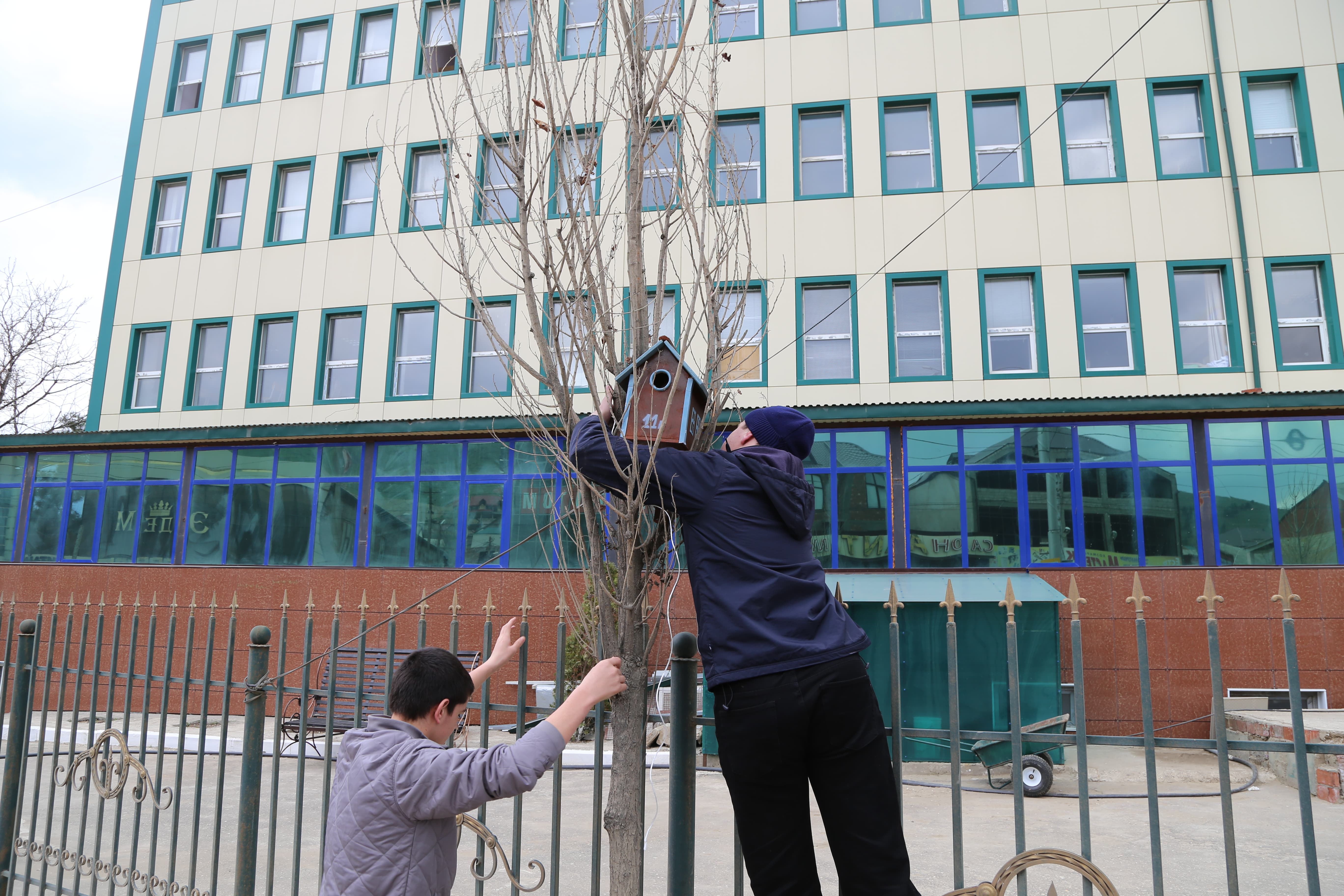 Студенты медицинского колледжа имени Башларова развесили скворечники, сделанные ко дню птиц