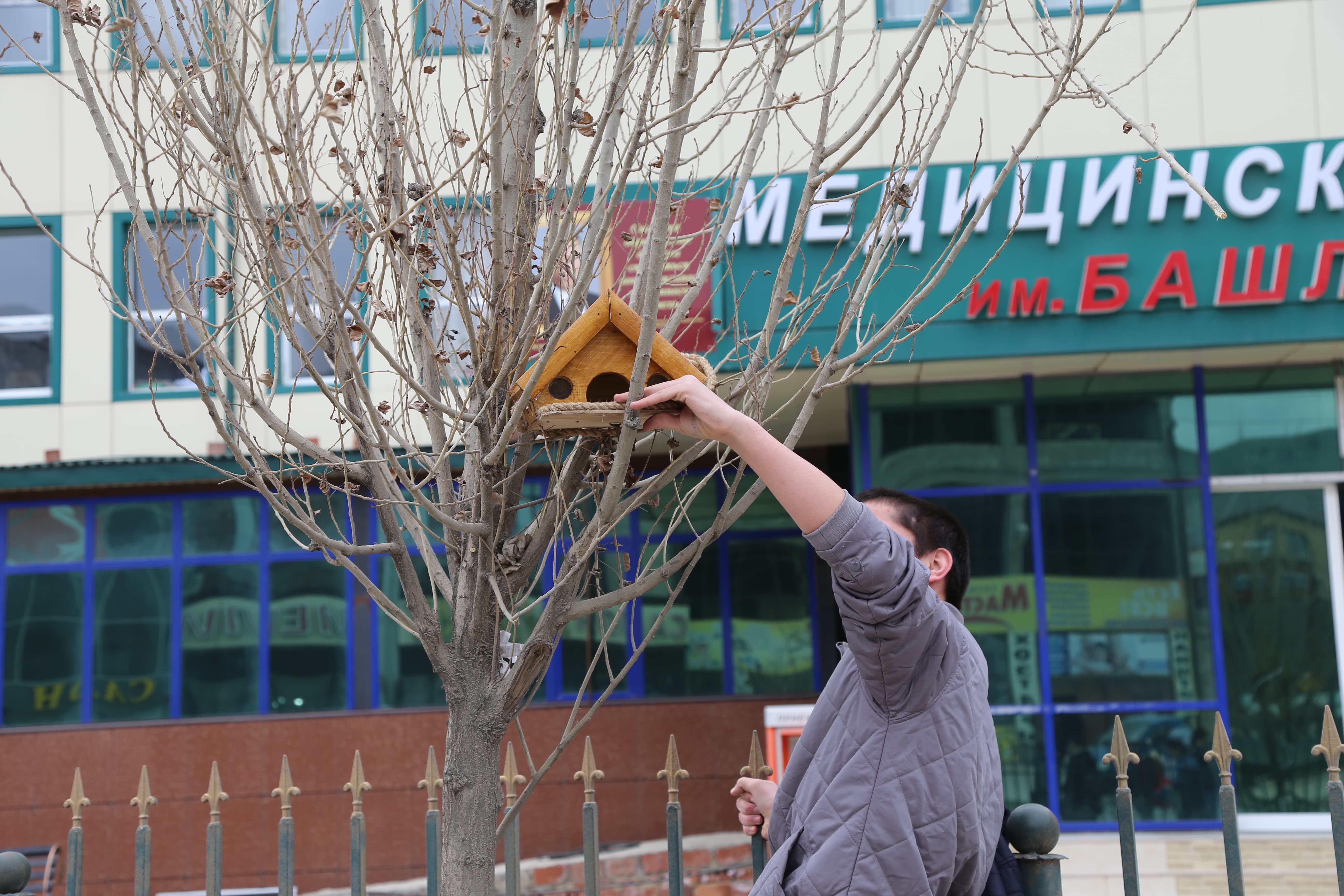 Студенты медицинского колледжа имени Башларова развесили скворечники, сделанные ко дню птиц