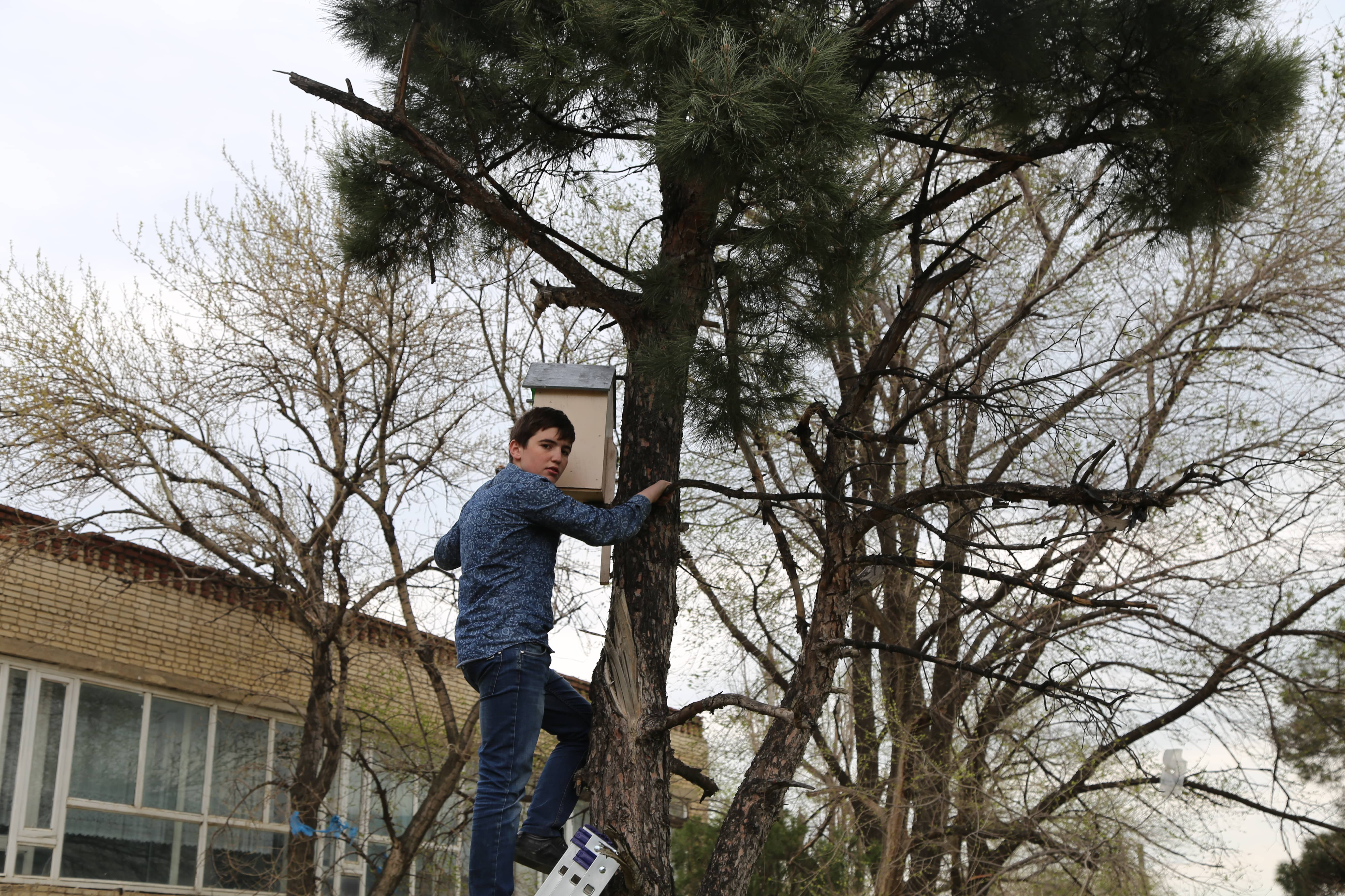 Студенты медицинского колледжа имени Башларова развесили скворечники, сделанные ко дню птиц