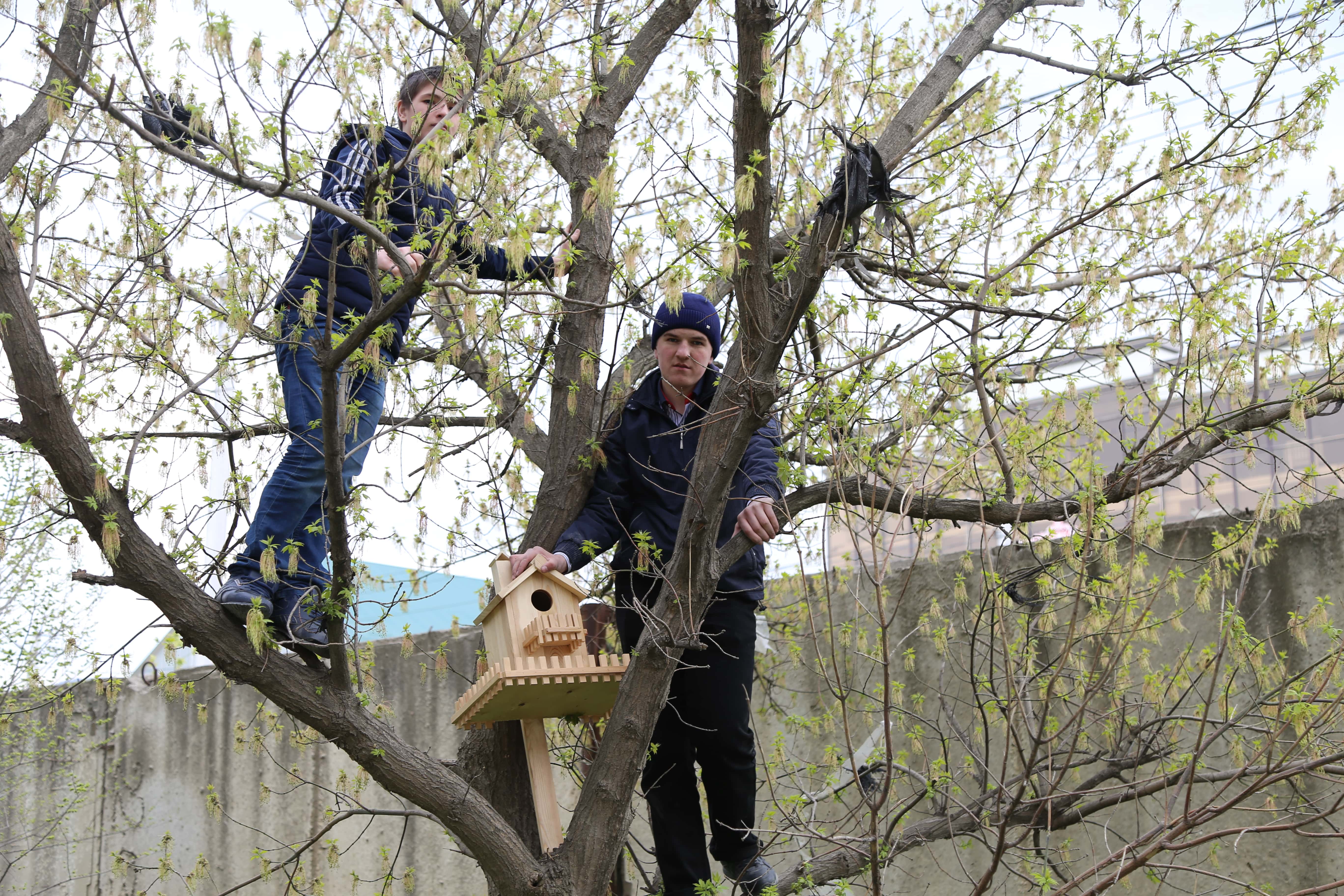 Студенты медицинского колледжа имени Башларова развесили скворечники, сделанные ко дню птиц