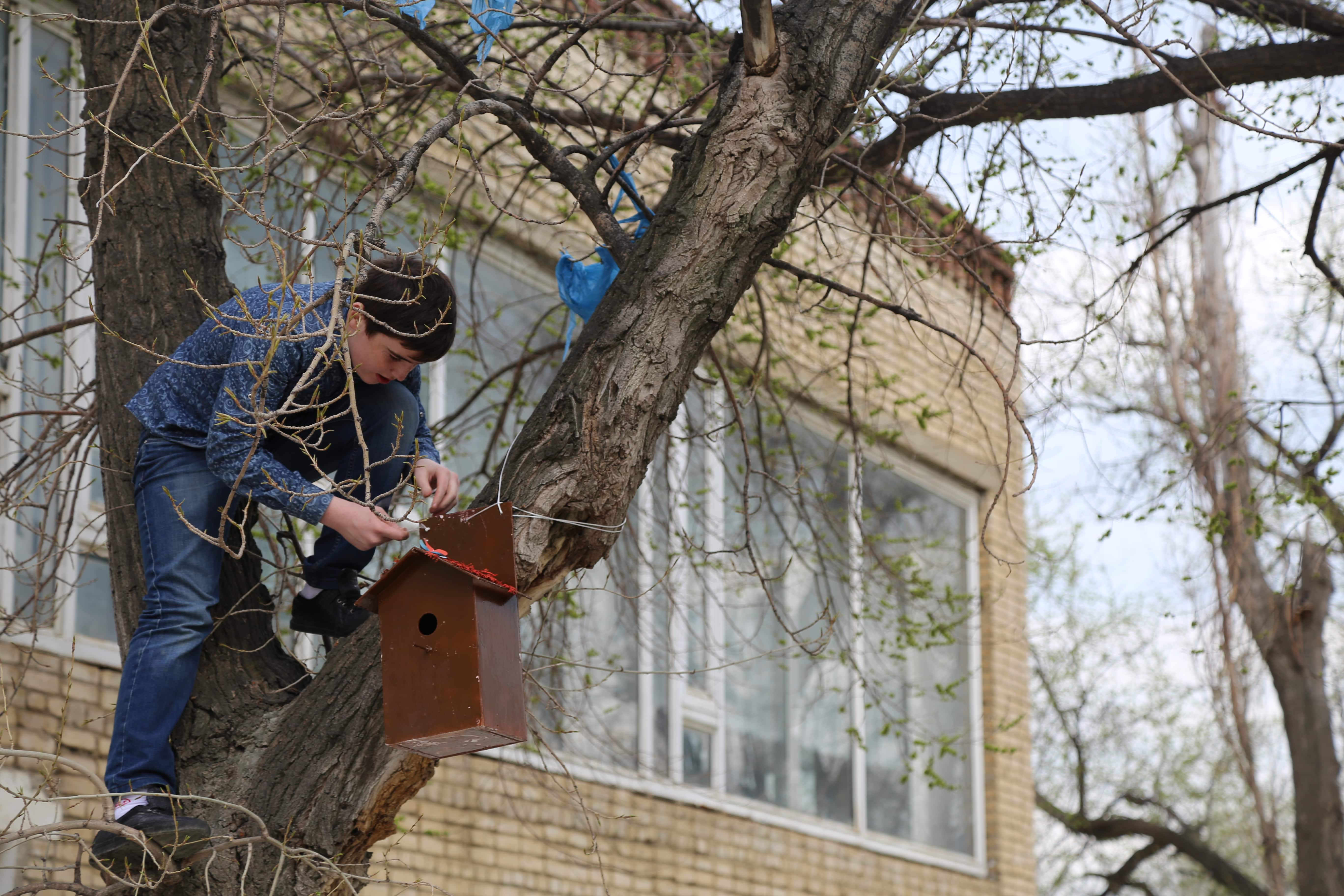 Студенты медицинского колледжа имени Башларова развесили скворечники, сделанные ко дню птиц
