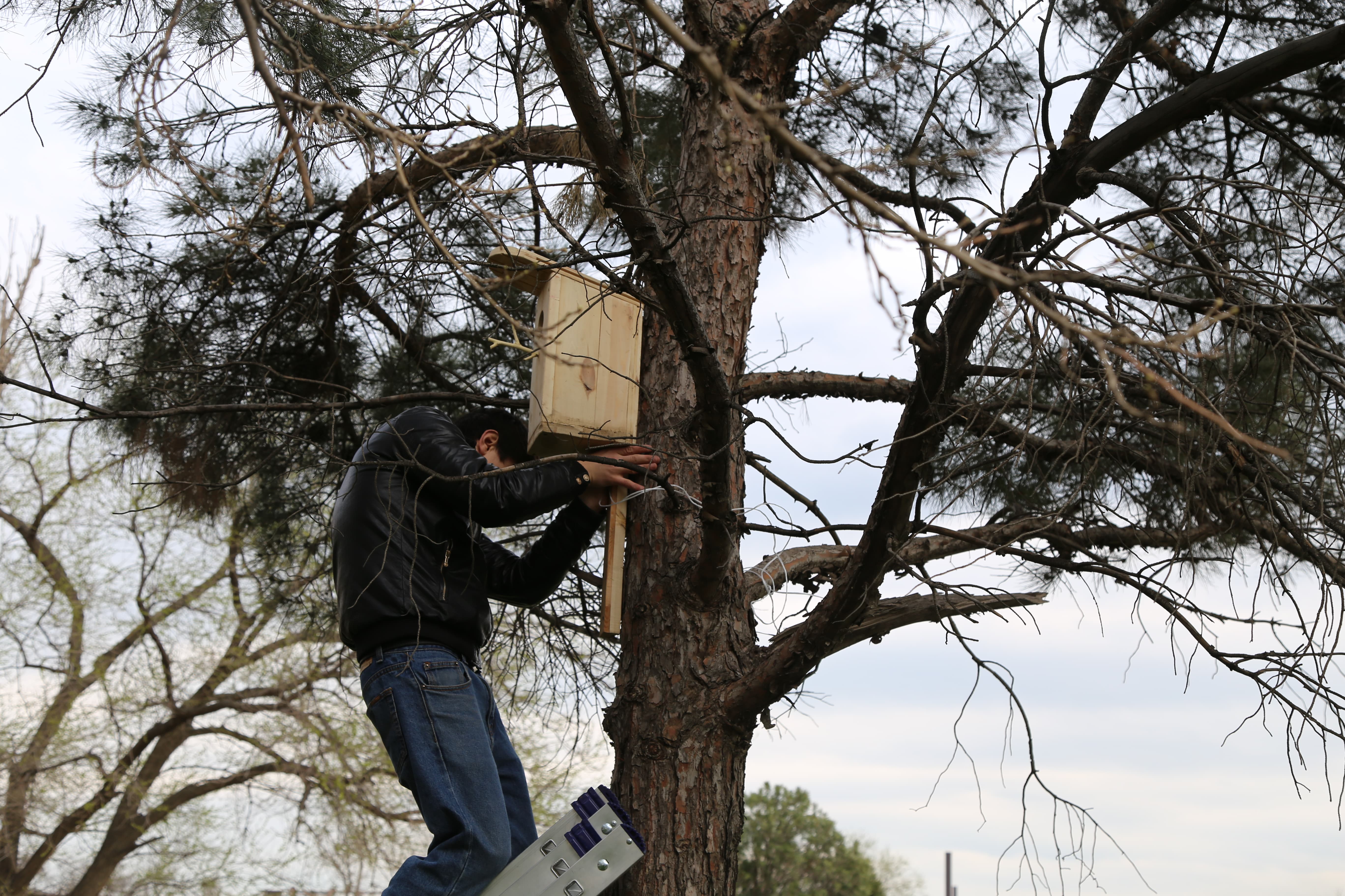Студенты медицинского колледжа имени Башларова развесили скворечники, сделанные ко дню птиц