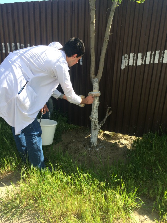 Работники и студенты Медицинского колледжа имени Башларова приняли участие в общероссийском субботнике