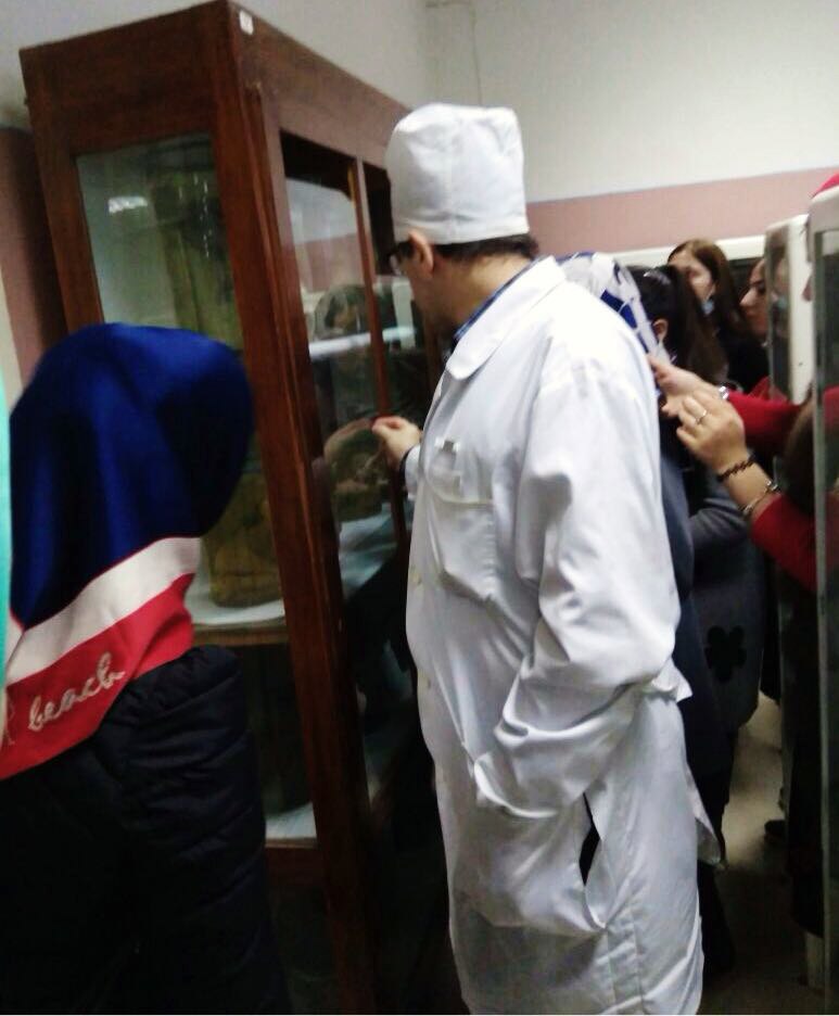 Познавательная экскурсия.