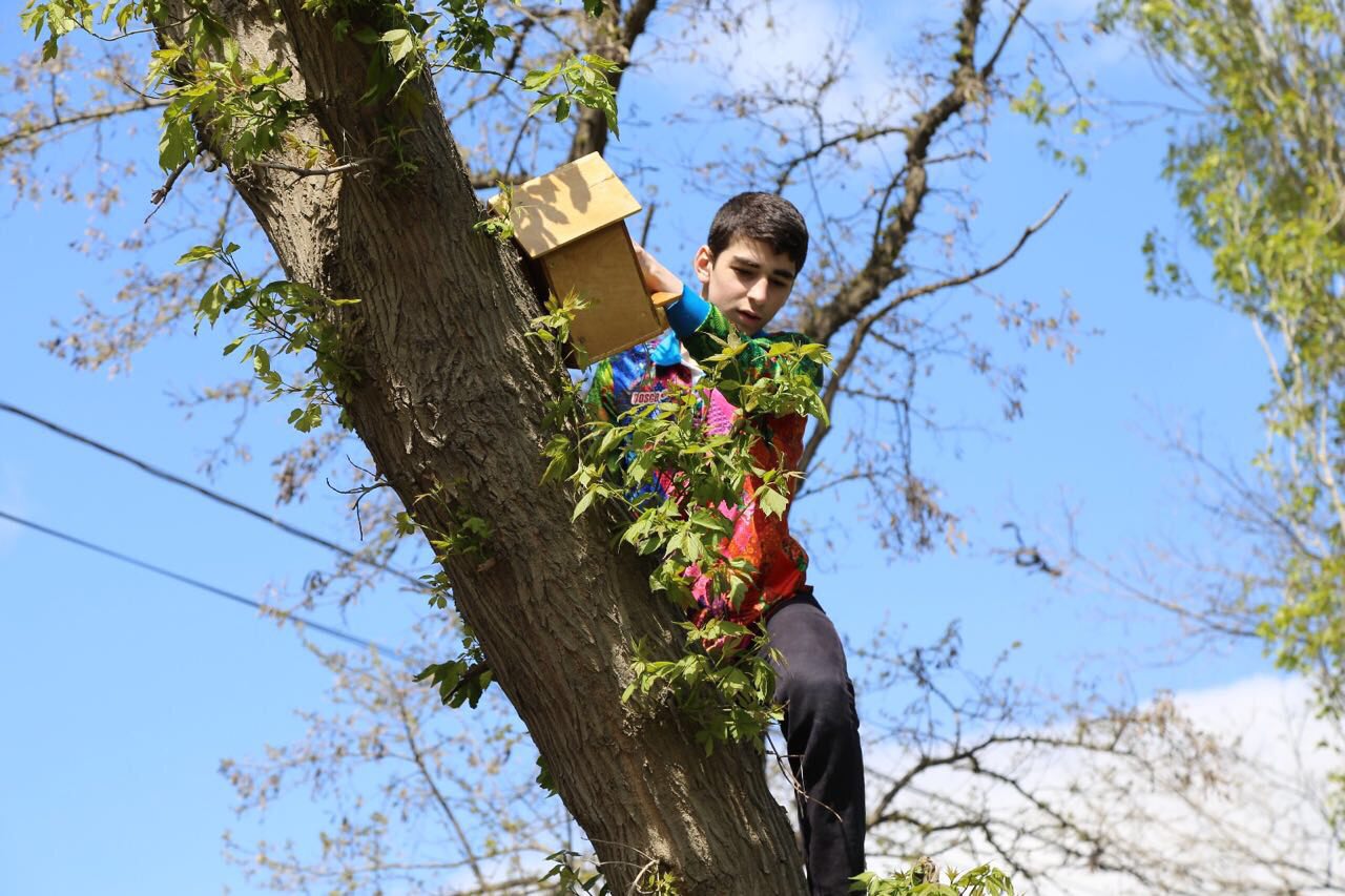 Помощь братьям нашим меньшим