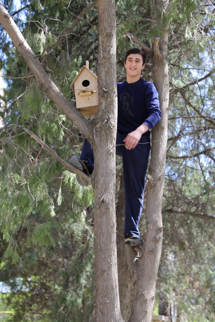 Помощь братьям нашим меньшим