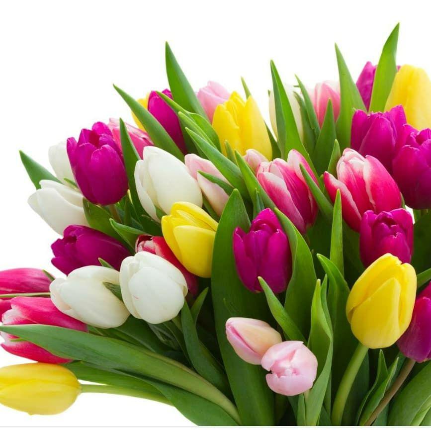 С праздником 8 Марта!