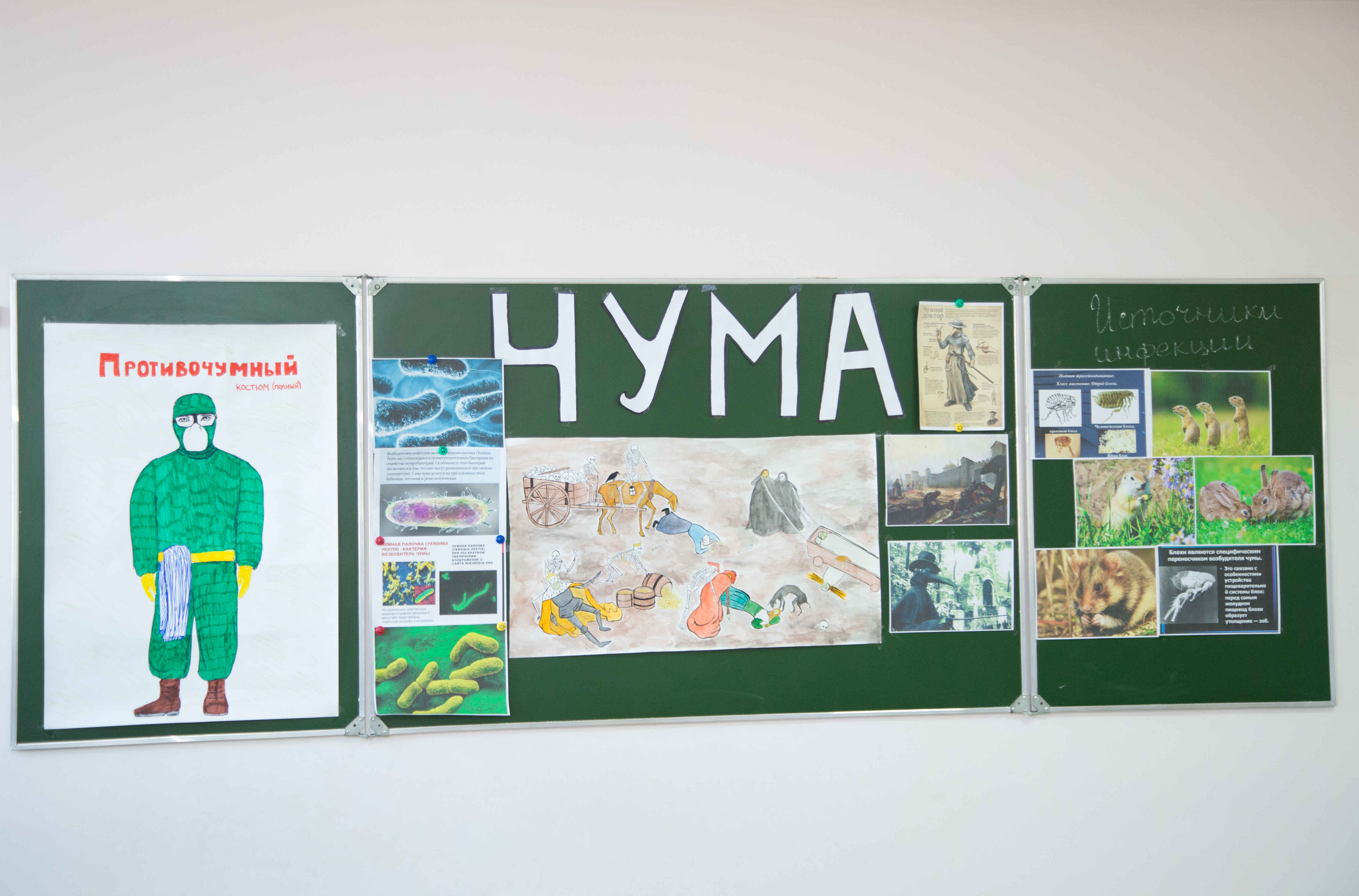 «Особо опасные инфекции-чума»