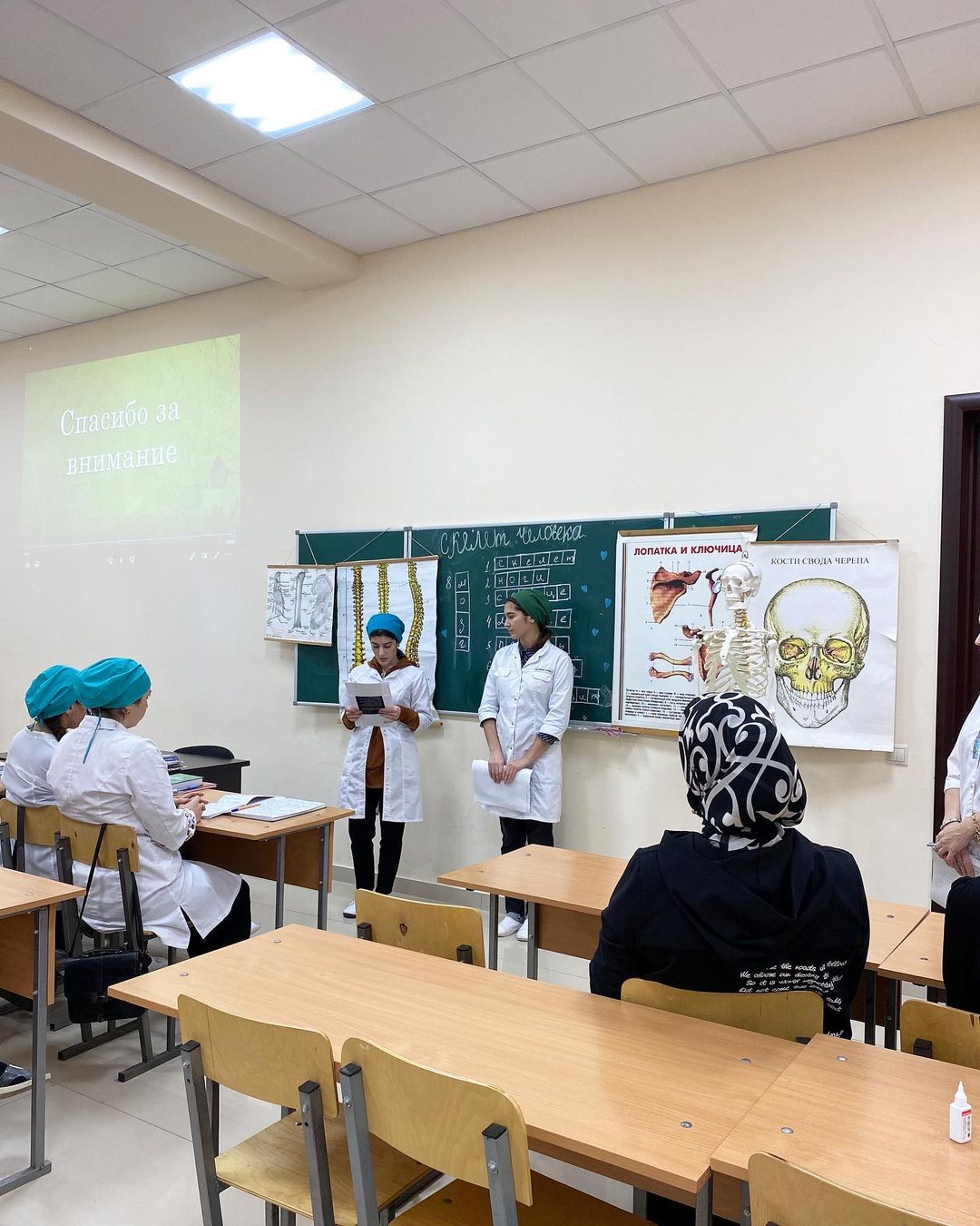 «Скелет человека»