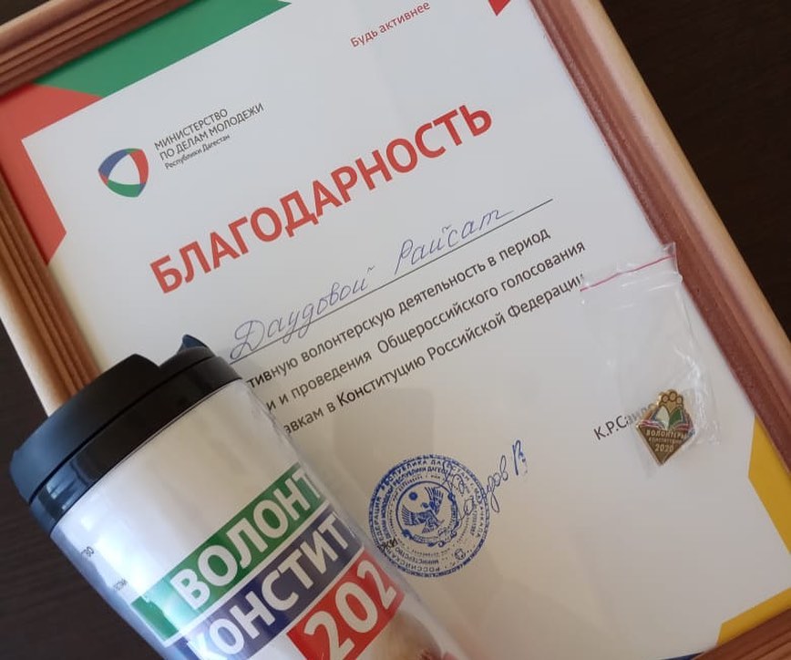 "Волонтеры Конституции",