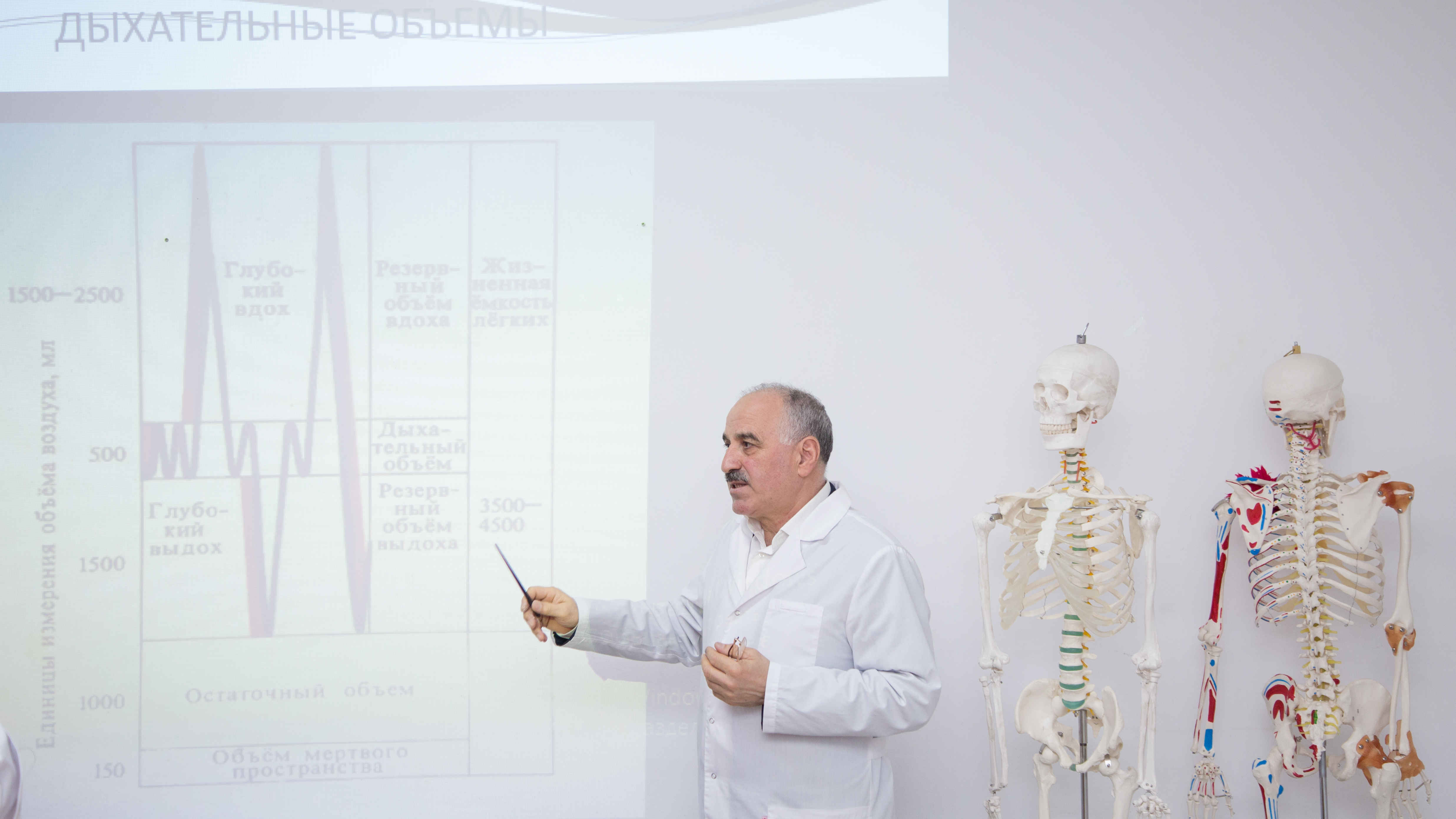 Занятие по "Анатомии и физиологии человека"