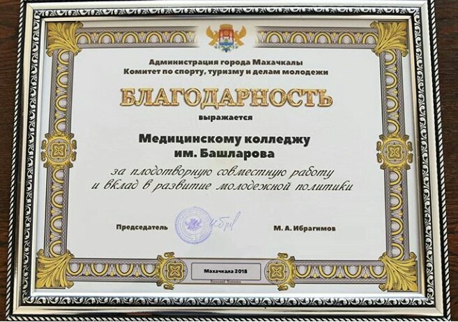 molod politika3